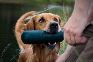 Sommarläger på Björkebergs Gård 12-15 juli 2026