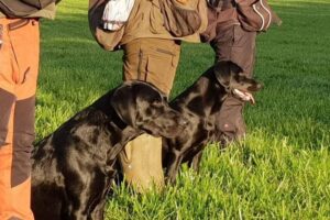 Mot öppenklass, sönd em våren 2026