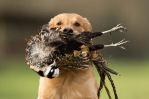 Take it Easy B-provskurs NKL, jan-maj 2026