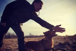 Fullt! Elit-träning, tisd fm jan-maj 2026