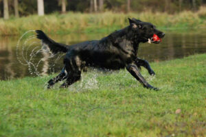 Öppenklass, sönd em jan-maj 2026