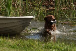 Våt Weekend på Sävekulla 23-24 maj 2026