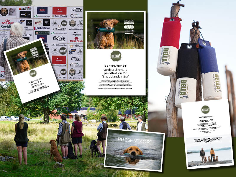 Sponsring är när två – eller fler 😊 är vinnare!